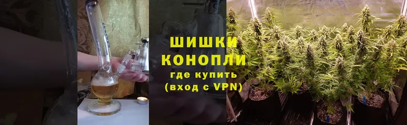 купить наркотики цена  Геленджик  Канабис THC 21% 